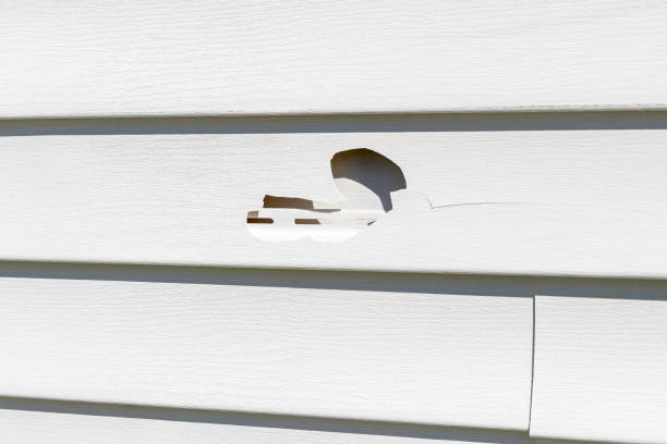 Best Property Management Cleanouts  in Southport, IN