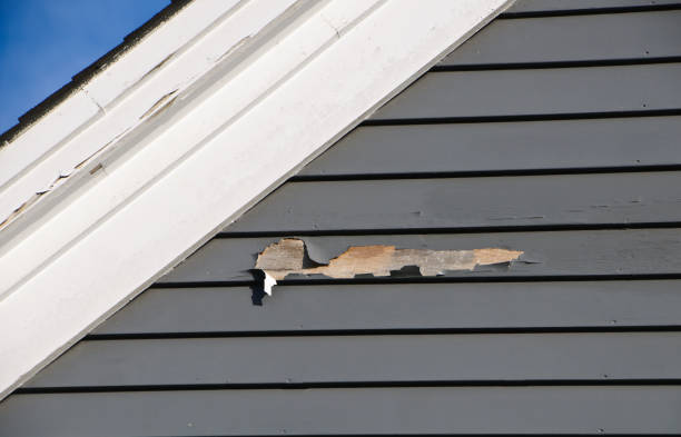 Best Hoarding Cleanup  in Southport, IN